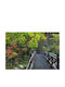 Fototapete Papier L250xB200cm Waschbar FTAP-BBIMG343