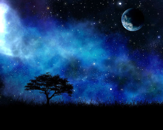 Tapet Autocolant De Perete Univers9 Tree Among Stars 270x200cm Lavabil