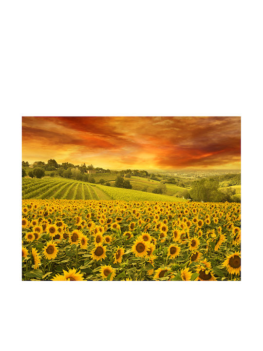 Autocolantă Tapet de Perete 350x200cm Lavabil