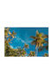 Autocolantă Tapet de Perete 350x200cm Lavabil