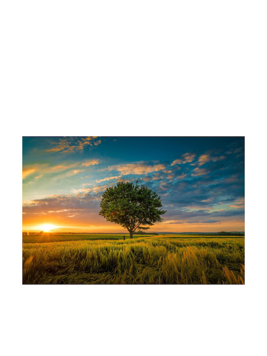 Autocolantă Tapet de Perete 270x200cm Lavabil