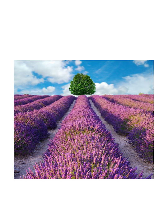 Self-adhesive Wall Wallpaper 150x205cm Washable