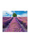 Self-adhesive Wall Wallpaper 150x205cm Washable