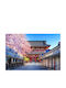 Fototapete Papier L200xB150cm Waschbar FTAP-BBIMG6219