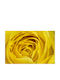 Selbstklebend Fototapete L200xB150cm Waschbar FTAP-FOTOTAP5009