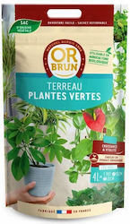 Plant Soil 4lt S7171403