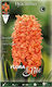 Flora Elite Zwiebeln Hyacinthus Mangekyō 3Stück