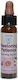 Crystal Herbs Restoring Patience Flower Essence in Drops 10ml 1pcs