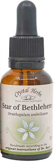 Crystal Herbs Αγριόκρινο Ανθοΐαμα σε Σταγόνες 25ml 1τμχ