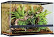 Exo Terra Reptile Terrarium Terrarium