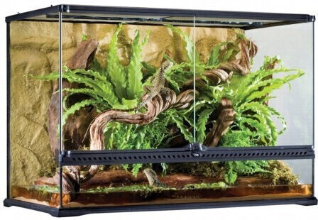 Exo Terra Reptile Terrarium Terrarium