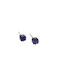 FantazyStores Earrings