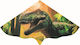 Gunther Triangular Kite Plastic with Twine 63x115cm 1pcs