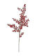 EDG Christmas Decorative Mistletoe 7cm