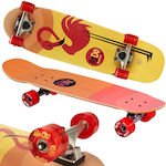 Skateboard Complet Placă scurtă Multicolor