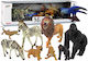 Miniature Toy Africa Wild Animals