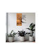 Asir Group 3D Mixed Art Muaz Καφέ από Ξύλο 58x45cm