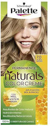Palette Naturals Hair Dye 7.0