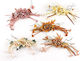 Palma Emporio Braid / Ribbon for Wedding Favors...
