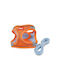 Pawcare Σαμαράκι Σκύλου Πορτοκαλί Small 8724900160989-9-1