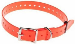 Num'axes Dog Collar in Orange Color Num'axes Dog Collar in Orange Color