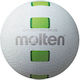 Molten Volleyball Ball Innenbereich No.5