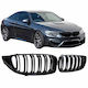 Carner Car Decorative Mask BMW F32