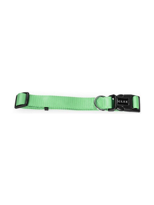 Glee Dog Collar in Green color 88825