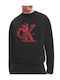 Calvin Klein Herren Sweatshirt Schwarz