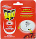 Raid Traps for Ants