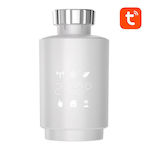 Thermostatic Radiator Valves