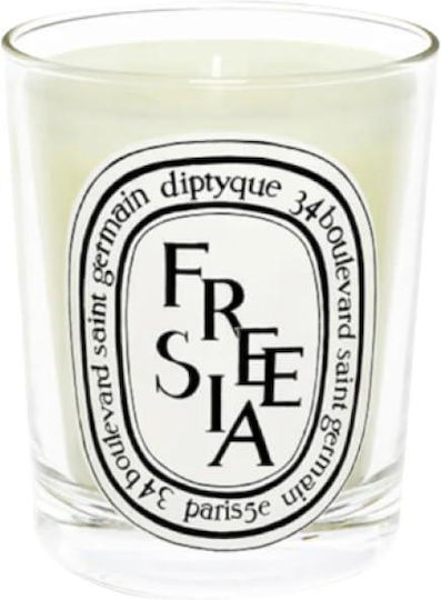 Diptyque Αρωματικό Freesia σε Βάζο Λευκό