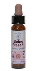 Crystal Herbs Αρωματικό Έλαιο 10ml