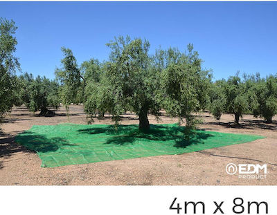 Olive Net 4x8m