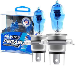 Lamps H4 Halogen Cold White 2pcs