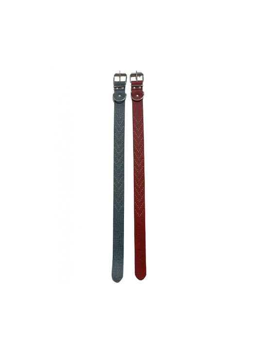 Hundehalsband 35mm x 58cm 12 Stück Verschiedene Farben Hundehalsband 35mm x 58cm 12 Stück Verschiedene Farben
