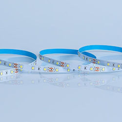 Eurolamp Ταινία LED 12V 5m 5 τμχ