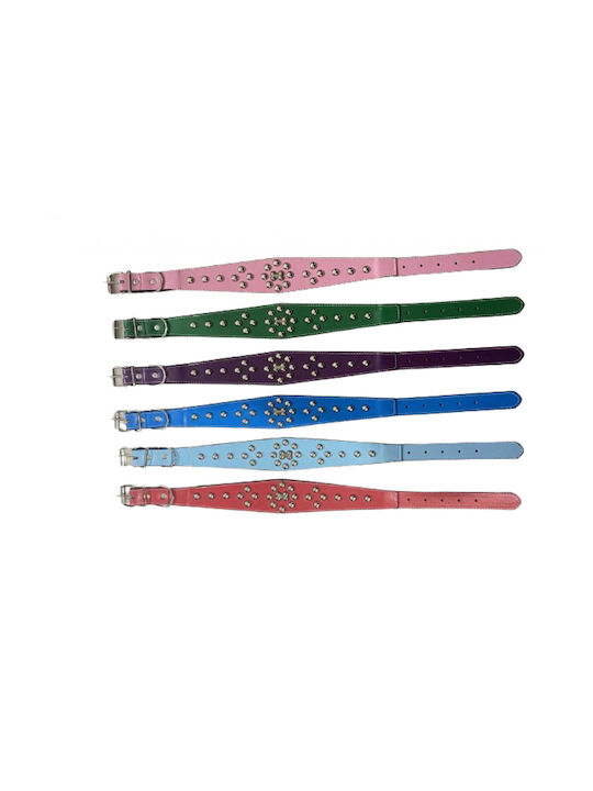 Dog Collar 25mm x 54cm 12pcs (Various Colors)