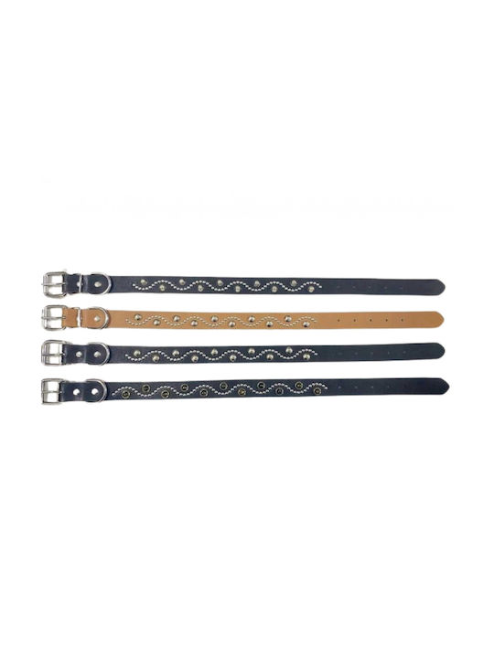 Dog Collar Small 25mm x 52cm 12pcs (Various Colors)