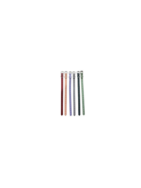 Dog Collar 30mm x 56cm 12pcs (Various Colors)