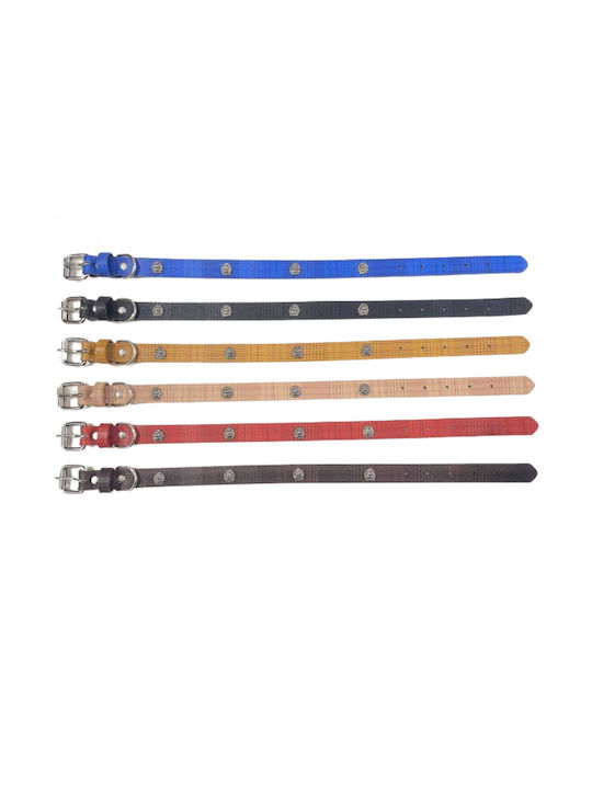 Dog Collar 20mm x 46cm 12pcs (Various Colors)