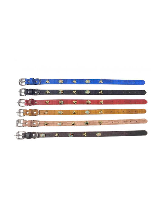 Hundehalsband 20mm x 46cm 12 Stück Verschiedene Farben Hundehalsband 20mm x 46cm 12 Stück Verschiedene Farben