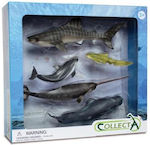 Collecta Jucărie Miniatură Marine Animals