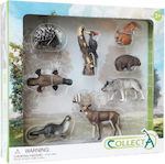 Collecta Jucărie Miniatură Animals