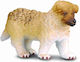 Collecta Jucărie Miniatură Scottish Shepherd