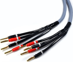 Melodika Speaker Cable Banana - Banana 2m