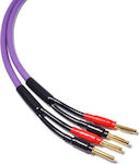 Melodika Speaker Cable Banana - Banana 3m