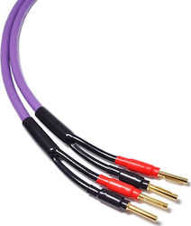 Melodika Speaker Cable Banana - Banana 2m