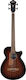 Ibanez 4-String Fretless Electric Bass