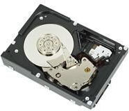 Dell 2TB HDD Σκληρός Δίσκος 3.5" SAS 3.0 7200rpm για Server R755K